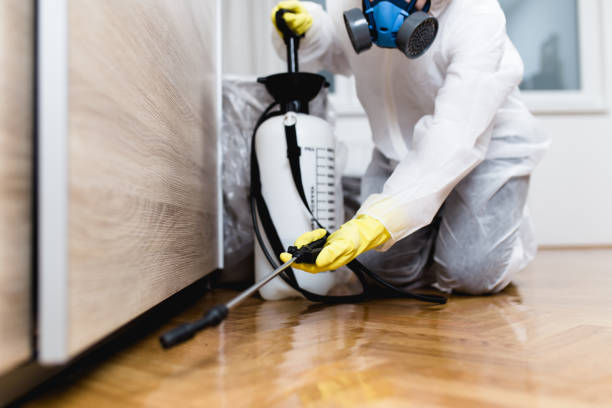 Best Affordable Pest Control Services  in Golden Grove, SC