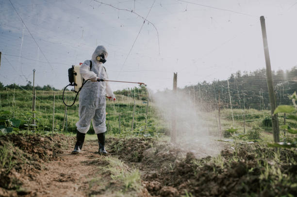 Best Best Pest Control Companies  in Golden Grove, SC