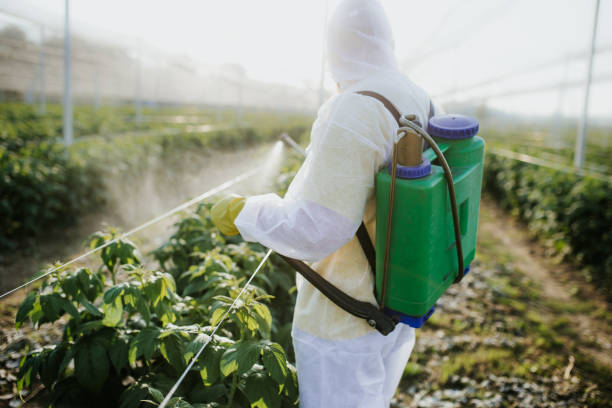 Wildlife Control Services in Golden Grove, SC